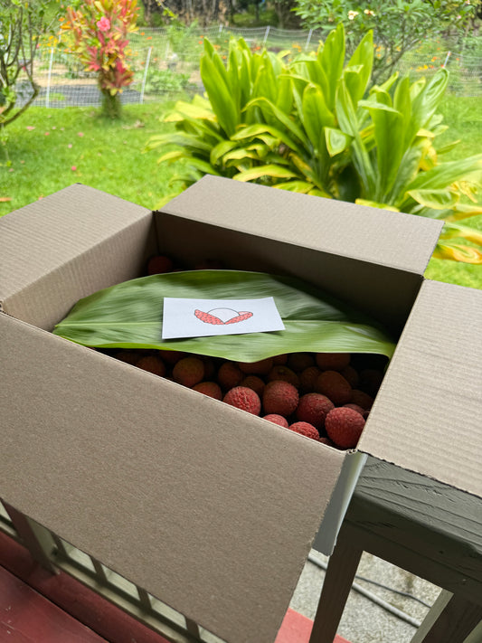 16 Lbs. Kaimana Lychee